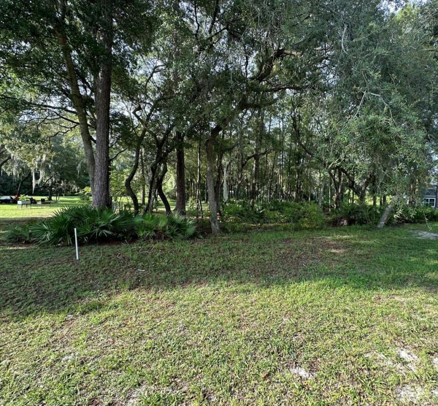 0 NW 174TH PL, FANNING SPRINGS, FL 32693, photo 1 of 3