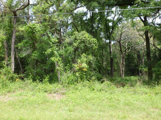 LOT 87 NW 168TH LN, TRENTON, FL 32693 - Image 1