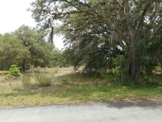 LOT 12 SW NOT NAMED, DUNNELLON, FL 34428, photo 2 of 3