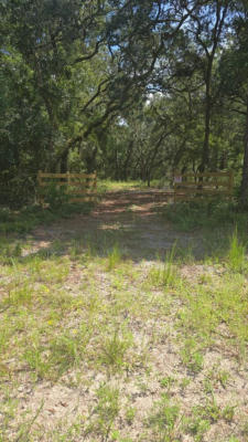 9250 NW 129TH ST, CHIEFLAND, FL 32626 - Image 1