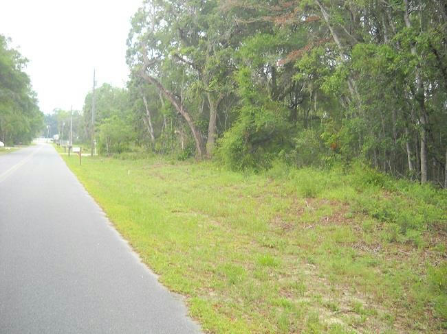 LOT 5 NW 173RD PL, FANNING SPRINGS, FL 32693, photo 1 of 2