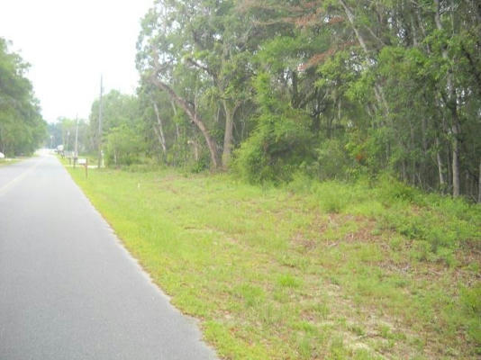 LOT 5 NW 173RD PL, FANNING SPRINGS, FL 32693 - Image 1