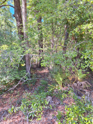 TBD 00 NW 83RD CT, FANNING SPRINGS, FL 32693, photo 4 of 9