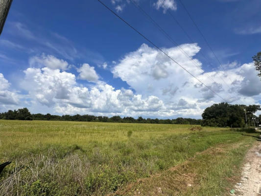 1.81 AC NW 11TH DR, CHIEFLAND, FL 32626 - Image 1