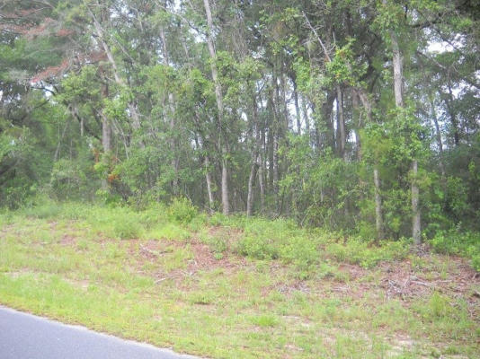 LOT 5 NW 173RD PL, FANNING SPRINGS, FL 32693, photo 2 of 2