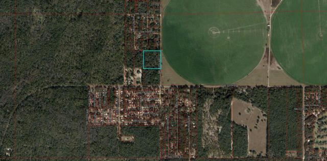 TBD NW 110TH AVE, CHIEFLAND, FL 32626 - Image 1