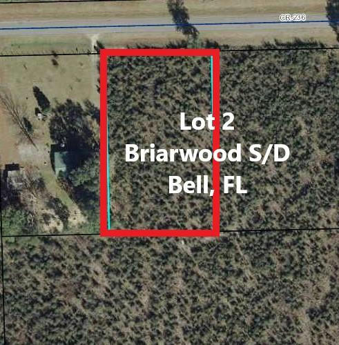 LOT 2 NW COUNTY ROAD 236, BELL, FL 32619, photo 1