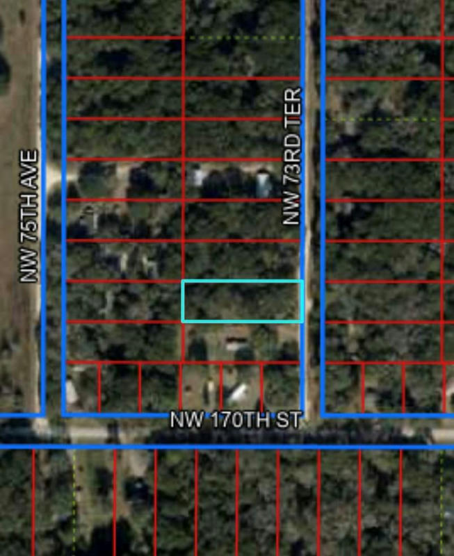 17030 NW 73RD TER, TRENTON, FL 32693, photo 1