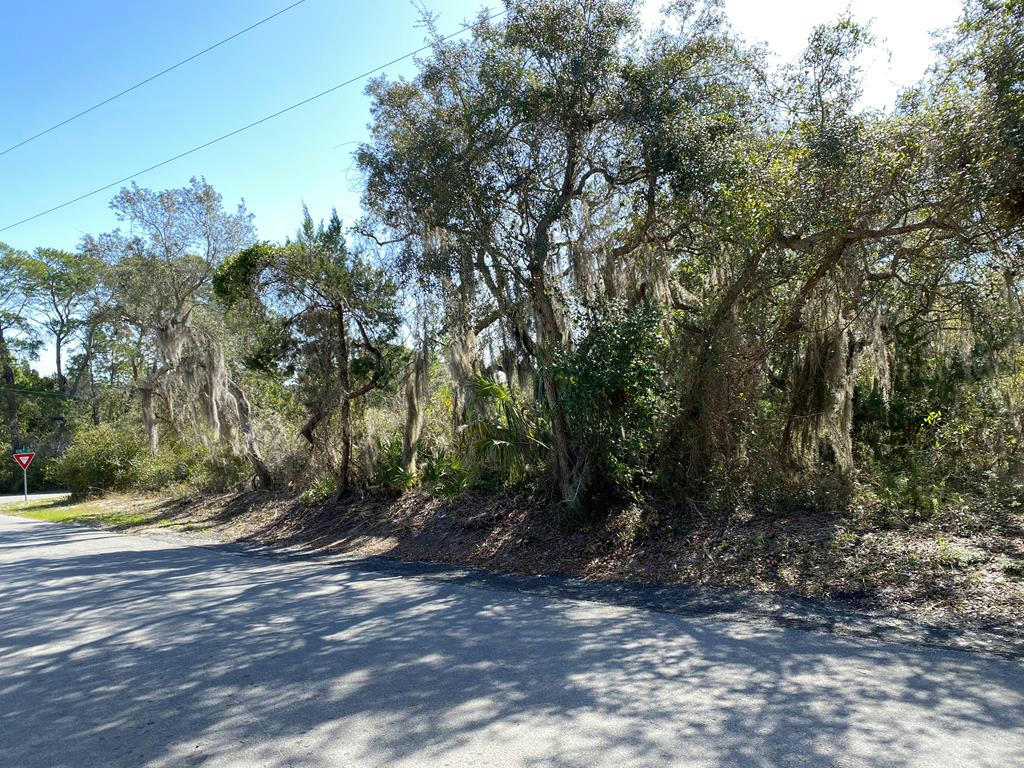 LOT 12 SUSAN ST, CEDAR KEY, FL 32625, photo 1 of 9