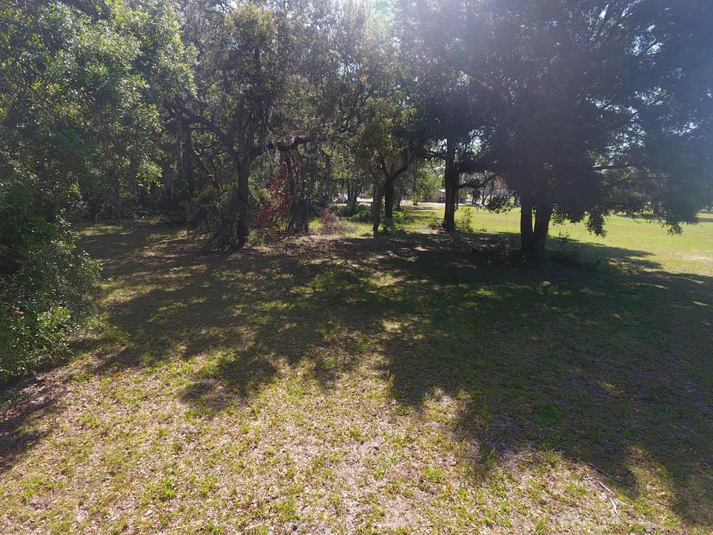 115TH ST, CHIEFLAND, FL 32626, photo 1 of 8