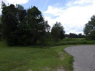 LOT 4 NW 5TH PL, CHIEFLAND, FL 32626, photo 4 of 6